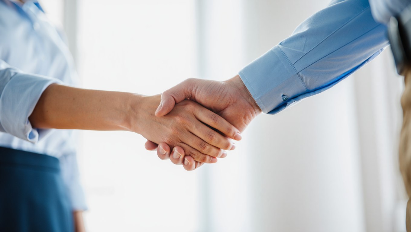 Stretta di mano consulenziale